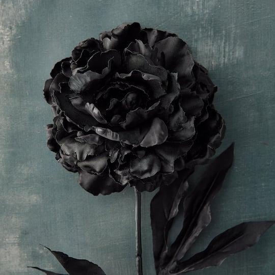 12 Pack: Black Peony Stem by Ashland®